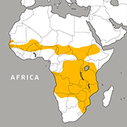 range map