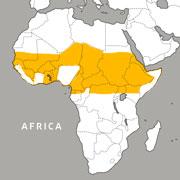 range map