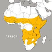 range map