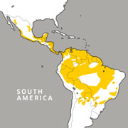 range map