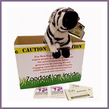 Zebra Zoodopt